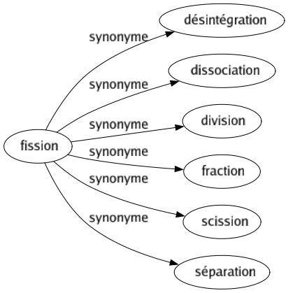 Synonyme de Fission : Désintégration Dissociation Division Fraction Scission Séparation 