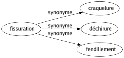 Synonyme de Fissuration : Craquelure Déchirure Fendillement 