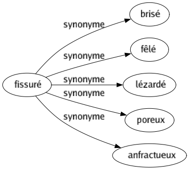 Synonyme de Fissuré : Brisé Fêlé Lézardé Poreux Anfractueux 