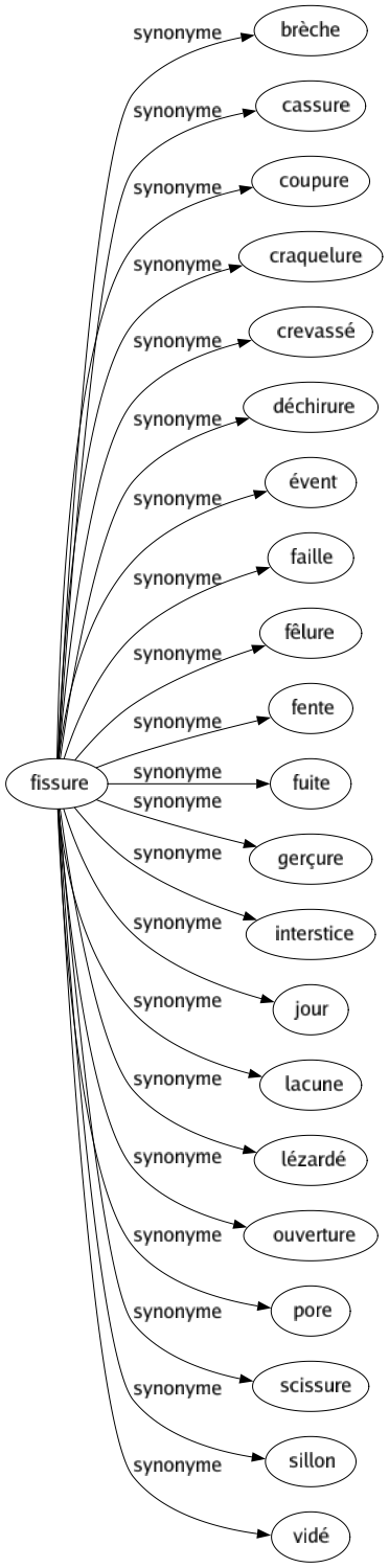 Synonyme de Fissure : Brèche Cassure Coupure Craquelure Crevassé Déchirure Évent Faille Fêlure Fente Fuite Gerçure Interstice Jour Lacune Lézardé Ouverture Pore Scissure Sillon Vidé 