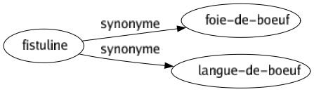 Synonyme de Fistuline : Foie-de-boeuf Langue-de-boeuf 