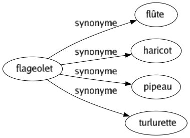 Synonyme de Flageolet : Flûte Haricot Pipeau Turlurette 