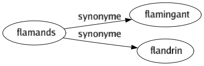 Synonyme de Flamands : Flamingant Flandrin 