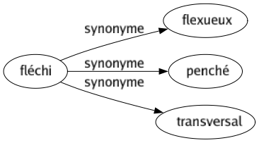 Synonyme de Fléchi : Flexueux Penché Transversal 