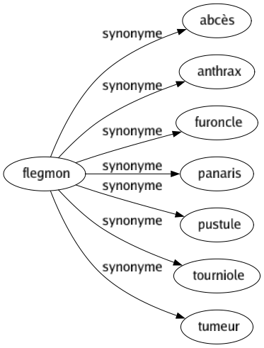Synonyme de Flegmon : Abcès Anthrax Furoncle Panaris Pustule Tourniole Tumeur 