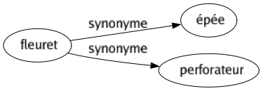 Synonyme de Fleuret : Épée Perforateur 