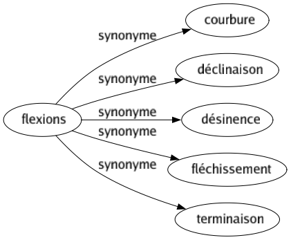 Synonyme de Flexions : Courbure Déclinaison Désinence Fléchissement Terminaison 