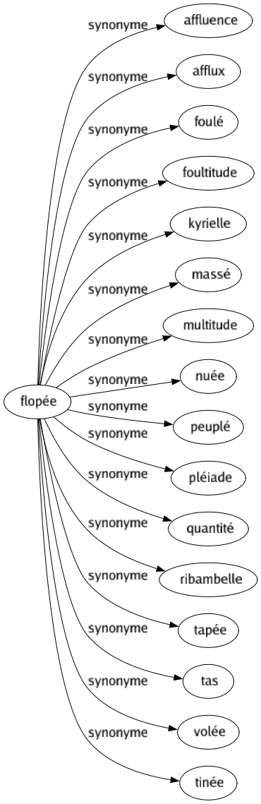 Synonyme de Flopée : Affluence Afflux Foulé Foultitude Kyrielle Massé Multitude Nuée Peuplé Pléiade Quantité Ribambelle Tapée Tas Volée Tinée 