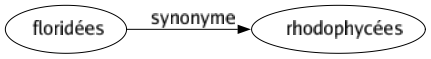 Synonyme de Floridées : Rhodophycées 