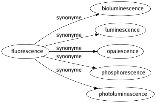 Synonyme de Fluorescence : Bioluminescence Luminescence Opalescence Phosphorescence Photoluminescence 