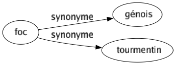 Synonyme de Foc : Génois Tourmentin 