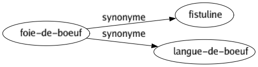 Synonyme de Foie-de-boeuf : Fistuline Langue-de-boeuf 