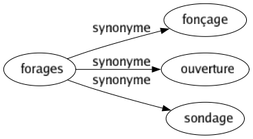 Synonyme de Forages : Fonçage Ouverture Sondage 