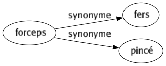 Synonyme de Forceps : Fers Pincé 