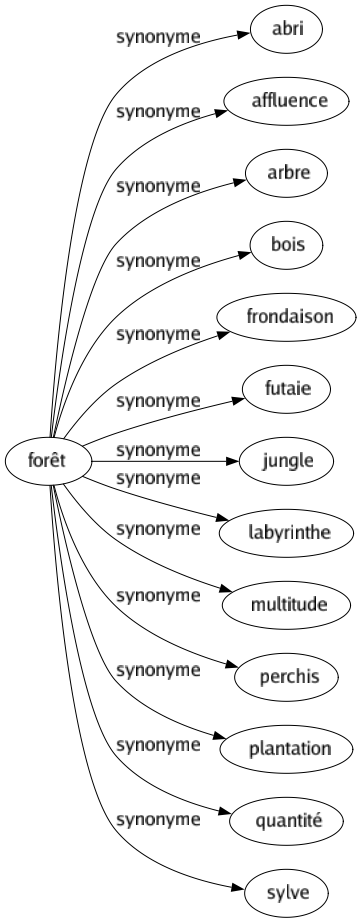 Synonyme de Forêt : Abri Affluence Arbre Bois Frondaison Futaie Jungle Labyrinthe Multitude Perchis Plantation Quantité Sylve 