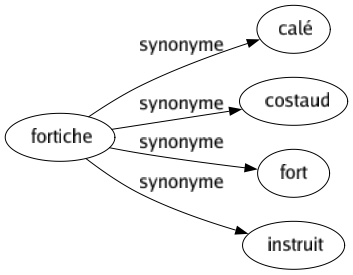 Synonyme de Fortiche : Calé Costaud Fort Instruit 