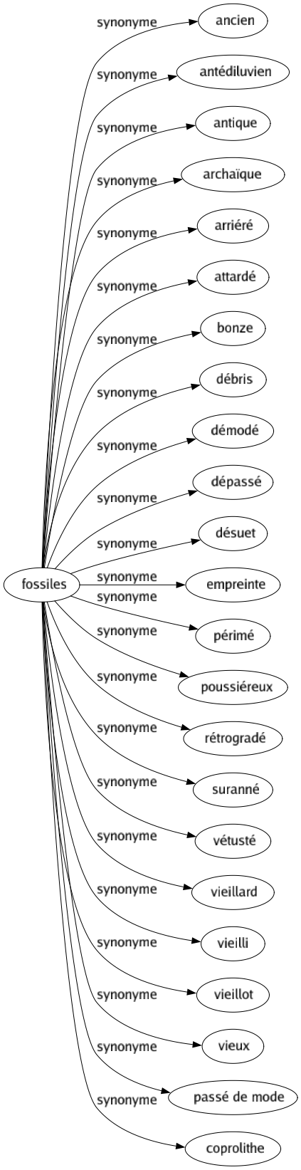 Synonyme de Fossiles : Ancien Antédiluvien Antique Archaïque Arriéré Attardé Bonze Débris Démodé Dépassé Désuet Empreinte Périmé Poussiéreux Rétrogradé Suranné Vétusté Vieillard Vieilli Vieillot Vieux Passé de mode Coprolithe 