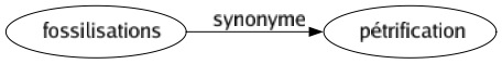 Synonyme de Fossilisations : Pétrification 