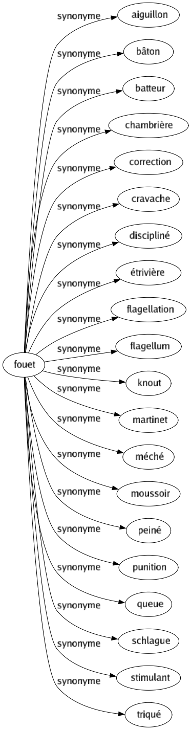 Synonyme de Fouet : Aiguillon Bâton Batteur Chambrière Correction Cravache Discipliné Étrivière Flagellation Flagellum Knout Martinet Méché Moussoir Peiné Punition Queue Schlague Stimulant Triqué 