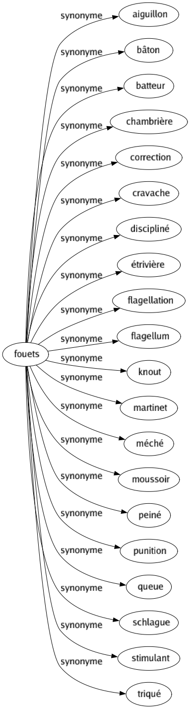 Synonyme de Fouets : Aiguillon Bâton Batteur Chambrière Correction Cravache Discipliné Étrivière Flagellation Flagellum Knout Martinet Méché Moussoir Peiné Punition Queue Schlague Stimulant Triqué 