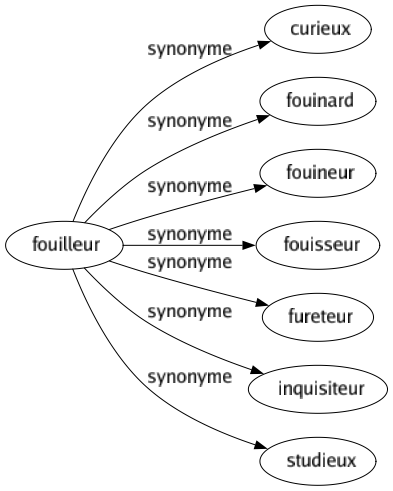 Synonyme de Fouilleur : Curieux Fouinard Fouineur Fouisseur Fureteur Inquisiteur Studieux 