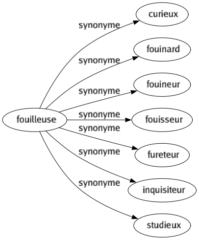 Synonyme de Fouilleuse : Curieux Fouinard Fouineur Fouisseur Fureteur Inquisiteur Studieux 