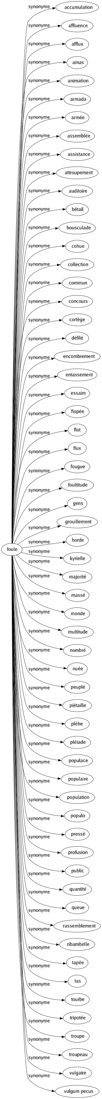 Synonyme de Foule : Accumulation Affluence Afflux Amas Animation Armada Armée Assemblée Assistance Attroupement Auditoire Bétail Bousculade Cohue Collection Commun Concours Cortège Défilé Encombrement Entassement Essaim Flopée Flot Flux Fougue Foultitude Gens Grouillement Horde Kyrielle Majorité Massé Monde Multitude Nombré Nuée Peuplé Piétaille Plèbe Pléiade Populace Populaire Population Populo Pressé Profusion Public Quantité Queue Rassemblement Ribambelle Tapée Tas Tourbe Tripotée Troupe Troupeau Vulgaire Vulgum pecus 