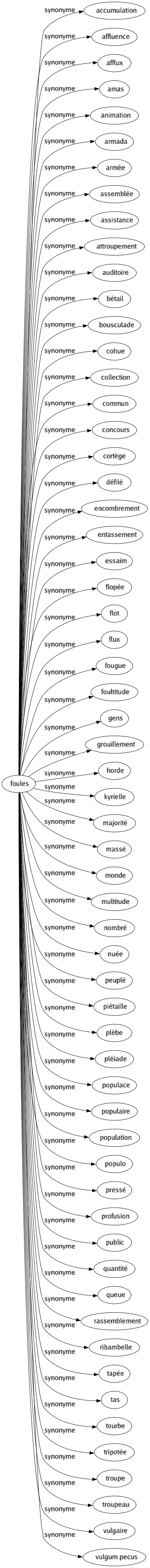 Synonyme de Foules : Accumulation Affluence Afflux Amas Animation Armada Armée Assemblée Assistance Attroupement Auditoire Bétail Bousculade Cohue Collection Commun Concours Cortège Défilé Encombrement Entassement Essaim Flopée Flot Flux Fougue Foultitude Gens Grouillement Horde Kyrielle Majorité Massé Monde Multitude Nombré Nuée Peuplé Piétaille Plèbe Pléiade Populace Populaire Population Populo Pressé Profusion Public Quantité Queue Rassemblement Ribambelle Tapée Tas Tourbe Tripotée Troupe Troupeau Vulgaire Vulgum pecus 