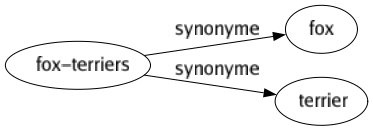 Synonyme de Fox-terriers : Fox Terrier 