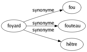 Synonyme de Foyard : Fou Fouteau Hêtre 