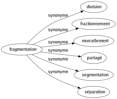 Synonyme de Fragmentation : Division Fractionnement Morcellement Partagé Segmentation Séparation 