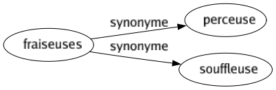 Synonyme de Fraiseuses : Perceuse Souffleuse 