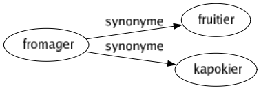 Synonyme de Fromager : Fruitier Kapokier 