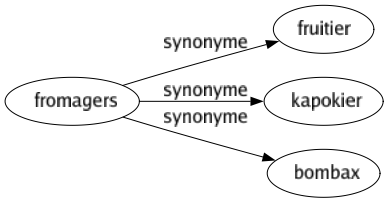 Synonyme de Fromagers : Fruitier Kapokier Bombax 