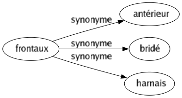 Synonyme de Frontaux : Antérieur Bridé Harnais 