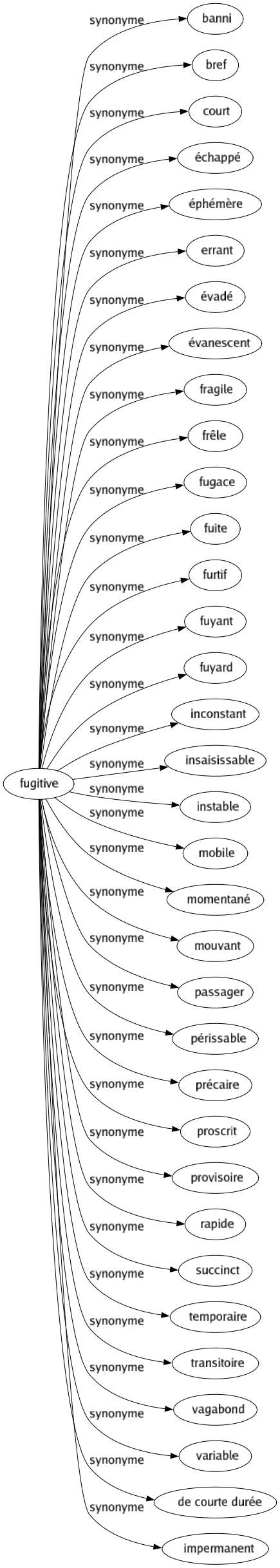 Synonyme de Fugitive : Banni Bref Court Échappé Éphémère Errant Évadé Évanescent Fragile Frêle Fugace Fuite Furtif Fuyant Fuyard Inconstant Insaisissable Instable Mobile Momentané Mouvant Passager Périssable Précaire Proscrit Provisoire Rapide Succinct Temporaire Transitoire Vagabond Variable De courte durée Impermanent 