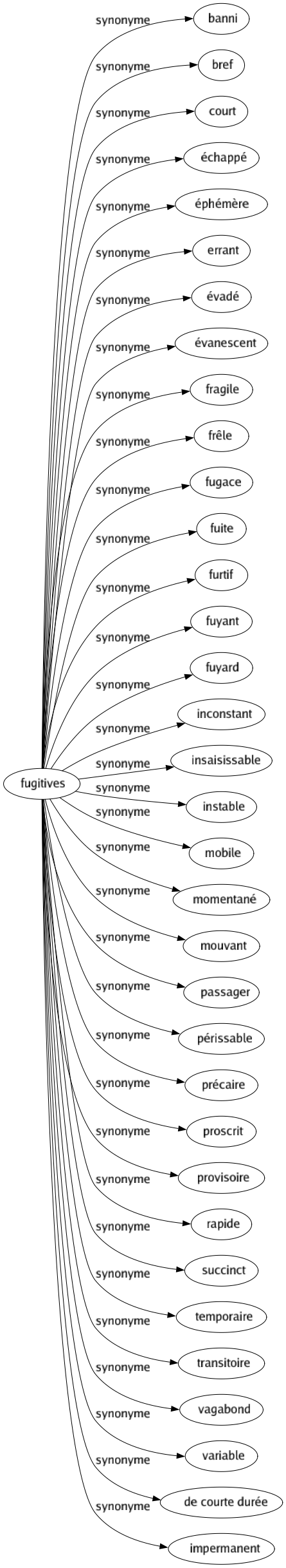 Synonyme de Fugitives : Banni Bref Court Échappé Éphémère Errant Évadé Évanescent Fragile Frêle Fugace Fuite Furtif Fuyant Fuyard Inconstant Insaisissable Instable Mobile Momentané Mouvant Passager Périssable Précaire Proscrit Provisoire Rapide Succinct Temporaire Transitoire Vagabond Variable De courte durée Impermanent 