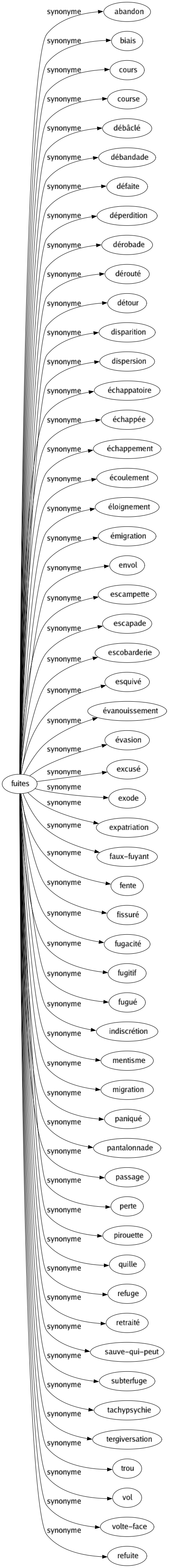 Synonyme de Fuites : Abandon Biais Cours Course Débâclé Débandade Défaite Déperdition Dérobade Dérouté Détour Disparition Dispersion Échappatoire Échappée Échappement Écoulement Éloignement Émigration Envol Escampette Escapade Escobarderie Esquivé Évanouissement Évasion Excusé Exode Expatriation Faux-fuyant Fente Fissuré Fugacité Fugitif Fugué Indiscrétion Mentisme Migration Paniqué Pantalonnade Passage Perte Pirouette Quille Refuge Retraité Sauve-qui-peut Subterfuge Tachypsychie Tergiversation Trou Vol Volte-face Refuite 