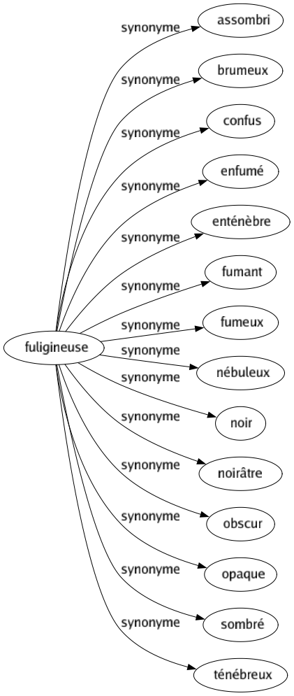 Synonyme de Fuligineuse : Assombri Brumeux Confus Enfumé Enténèbre Fumant Fumeux Nébuleux Noir Noirâtre Obscur Opaque Sombré Ténébreux 