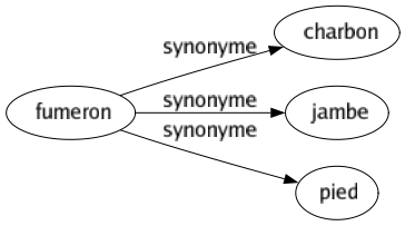 Synonyme de Fumeron : Charbon Jambe Pied 