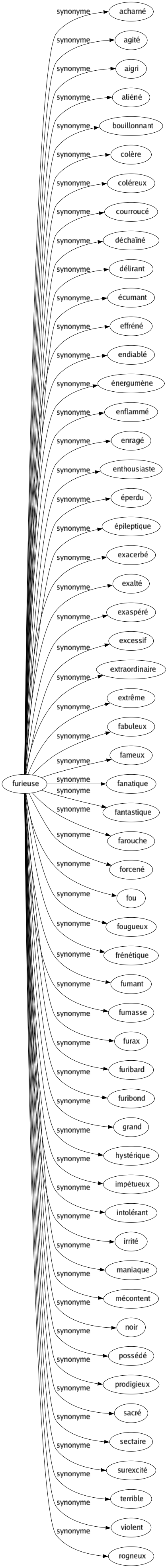 Synonyme de Furieuse : Acharné Agité Aigri Aliéné Bouillonnant Colère Coléreux Courroucé Déchaîné Délirant Écumant Effréné Endiablé Énergumène Enflammé Enragé Enthousiaste Éperdu Épileptique Exacerbé Exalté Exaspéré Excessif Extraordinaire Extrême Fabuleux Fameux Fanatique Fantastique Farouche Forcené Fou Fougueux Frénétique Fumant Fumasse Furax Furibard Furibond Grand Hystérique Impétueux Intolérant Irrité Maniaque Mécontent Noir Possédé Prodigieux Sacré Sectaire Surexcité Terrible Violent Rogneux 