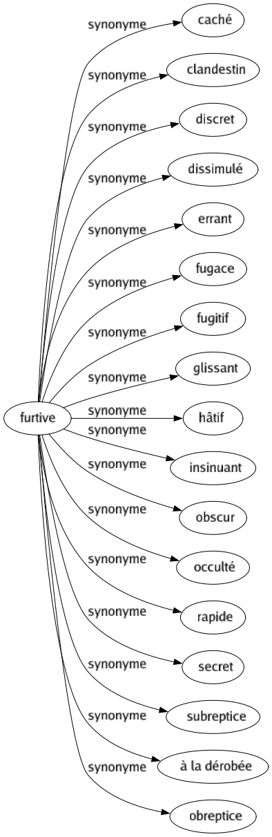 Synonyme de Furtive : Caché Clandestin Discret Dissimulé Errant Fugace Fugitif Glissant Hâtif Insinuant Obscur Occulté Rapide Secret Subreptice À la dérobée Obreptice 