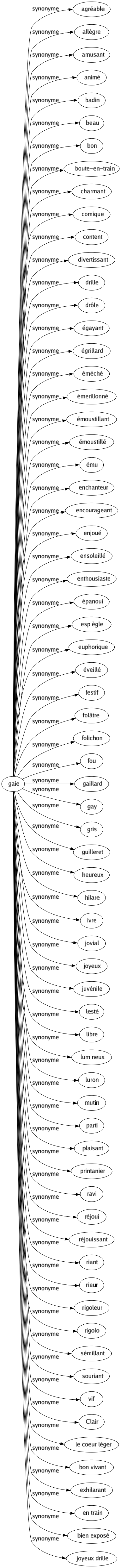 Synonyme de Gaie : Agréable Allègre Amusant Animé Badin Beau Bon Boute-en-train Charmant Comique Content Divertissant Drille Drôle Égayant Égrillard Éméché Émerillonné Émoustillant Émoustillé Ému Enchanteur Encourageant Enjoué Ensoleillé Enthousiaste Épanoui Espiègle Euphorique Éveillé Festif Folâtre Folichon Fou Gaillard Gay Gris Guilleret Heureux Hilare Ivre Jovial Joyeux Juvénile Lesté Libre Lumineux Luron Mutin Parti Plaisant Printanier Ravi Réjoui Réjouissant Riant Rieur Rigoleur Rigolo Sémillant Souriant Vif Clair Le coeur léger Bon vivant Exhilarant En train Bien exposé Joyeux drille 