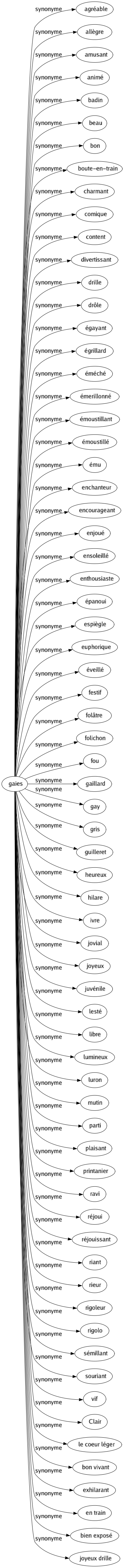 Synonyme de Gaies : Agréable Allègre Amusant Animé Badin Beau Bon Boute-en-train Charmant Comique Content Divertissant Drille Drôle Égayant Égrillard Éméché Émerillonné Émoustillant Émoustillé Ému Enchanteur Encourageant Enjoué Ensoleillé Enthousiaste Épanoui Espiègle Euphorique Éveillé Festif Folâtre Folichon Fou Gaillard Gay Gris Guilleret Heureux Hilare Ivre Jovial Joyeux Juvénile Lesté Libre Lumineux Luron Mutin Parti Plaisant Printanier Ravi Réjoui Réjouissant Riant Rieur Rigoleur Rigolo Sémillant Souriant Vif Clair Le coeur léger Bon vivant Exhilarant En train Bien exposé Joyeux drille 