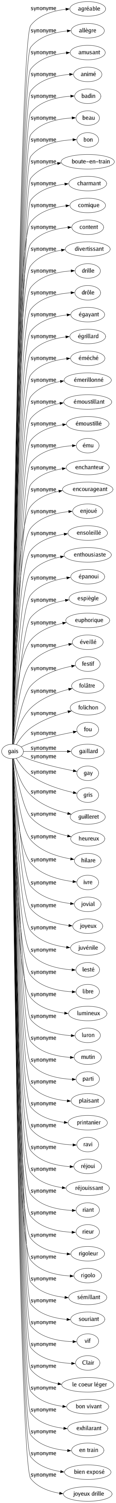 Synonyme de Gais : Agréable Allègre Amusant Animé Badin Beau Bon Boute-en-train Charmant Comique Content Divertissant Drille Drôle Égayant Égrillard Éméché Émerillonné Émoustillant Émoustillé Ému Enchanteur Encourageant Enjoué Ensoleillé Enthousiaste Épanoui Espiègle Euphorique Éveillé Festif Folâtre Folichon Fou Gaillard Gay Gris Guilleret Heureux Hilare Ivre Jovial Joyeux Juvénile Lesté Libre Lumineux Luron Mutin Parti Plaisant Printanier Ravi Réjoui Réjouissant Riant Rieur Rigoleur Rigolo Sémillant Souriant Vif Clair Le coeur léger Bon vivant Exhilarant En train Bien exposé Joyeux drille 