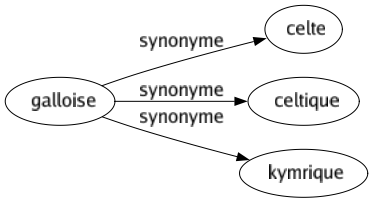 Synonyme de Galloise : Celte Celtique Kymrique 