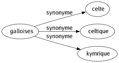 Synonyme de Galloises : Celte Celtique Kymrique 