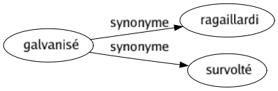 Synonyme de Galvanisé : Ragaillardi Survolté 