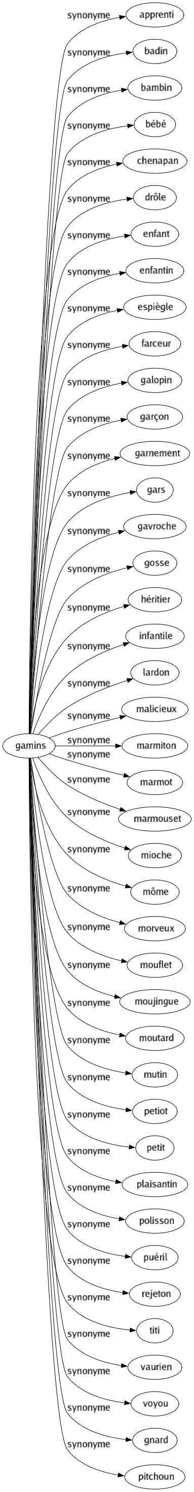 Synonyme de Gamins : Apprenti Badin Bambin Bébé Chenapan Drôle Enfant Enfantin Espiègle Farceur Galopin Garçon Garnement Gars Gavroche Gosse Héritier Infantile Lardon Malicieux Marmiton Marmot Marmouset Mioche Môme Morveux Mouflet Moujingue Moutard Mutin Petiot Petit Plaisantin Polisson Puéril Rejeton Titi Vaurien Voyou Gnard Pitchoun 