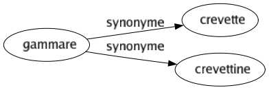 Synonyme de Gammare : Crevette Crevettine 